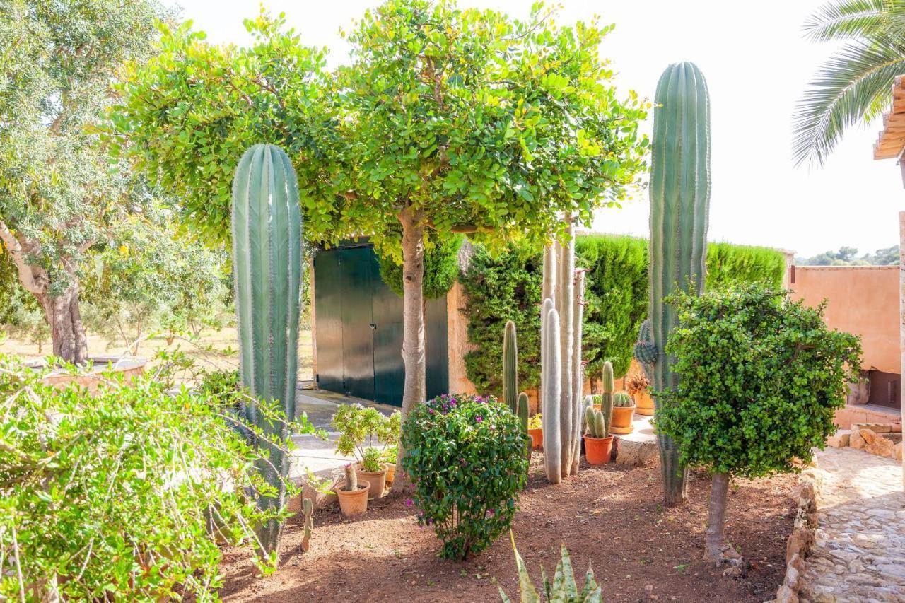 Ses Salines Cottage With Private Pool And Barbecue Ses Salines (Mallorca) Exterior foto